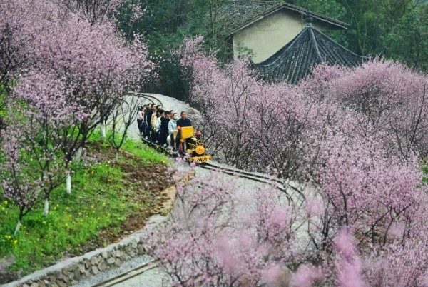 永旺配资 开往花海的小火车哪里有？就在沙坪坝这里→