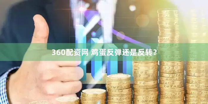 360配资网 鸡蛋反弹还是反转？