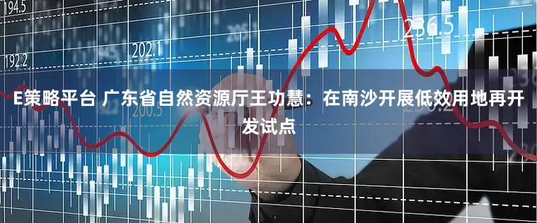E策略平台 广东省自然资源厅王功慧：在南沙开展低效用地再开发试点