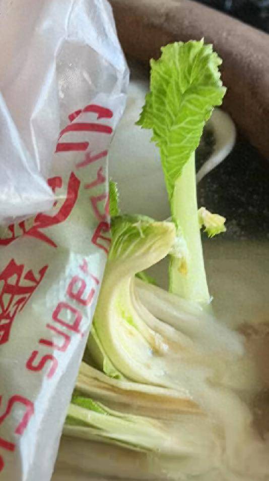 天戈资本 内蒙古居民腌制酸菜长出嫩芽 无土盐水栽培引热议